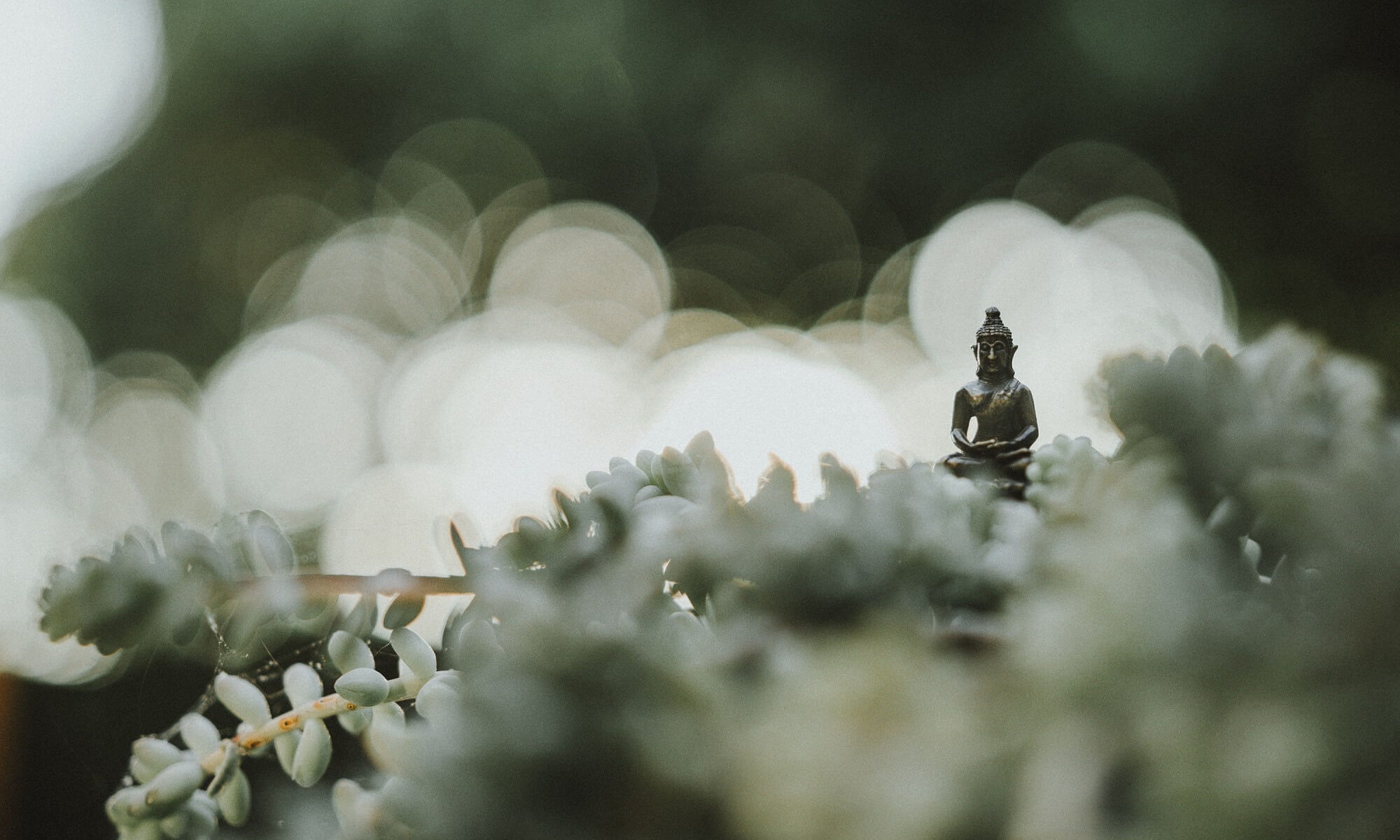 estátua pequena de buda em um jardim