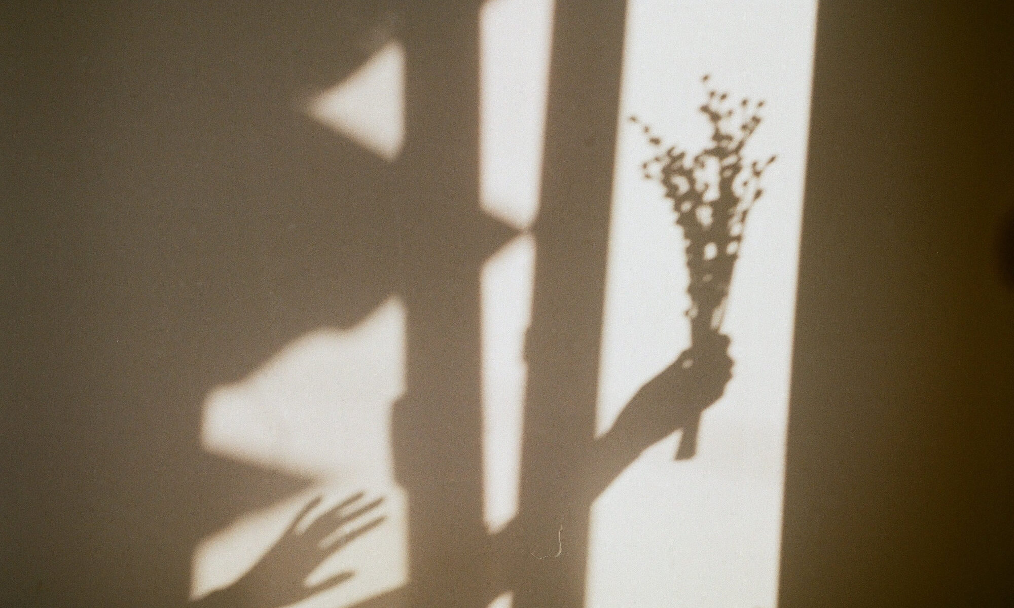 imagem da sombra de uma mulher com flores na mão