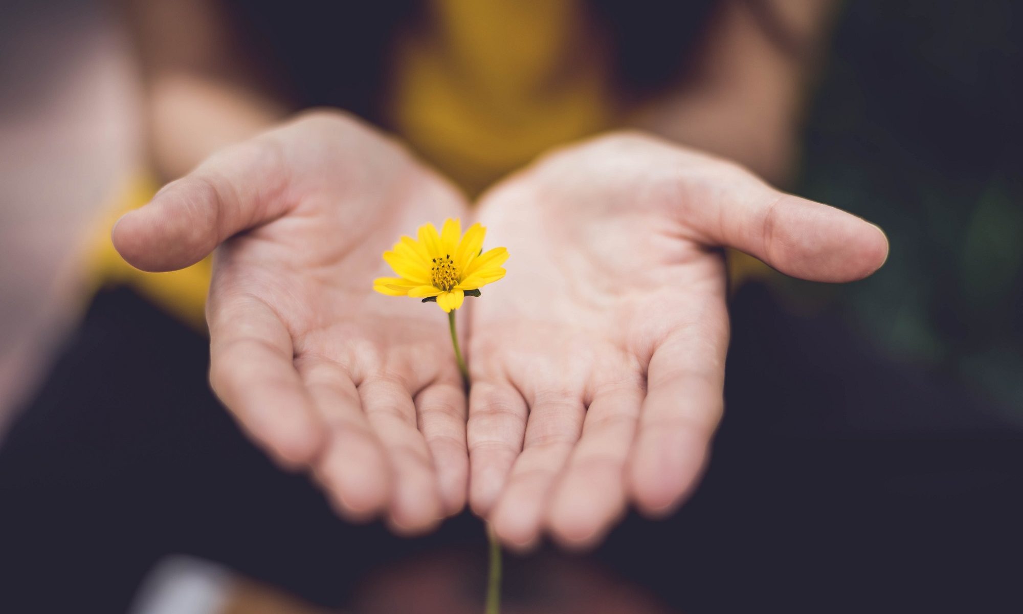 menina com mãos abertas segurando flor amarela