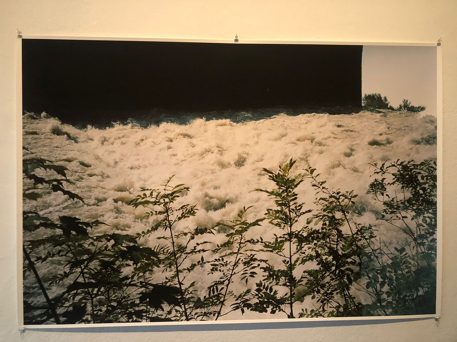 Manifesto ao amor - fotografia de acervo da Bienal de São Paulo